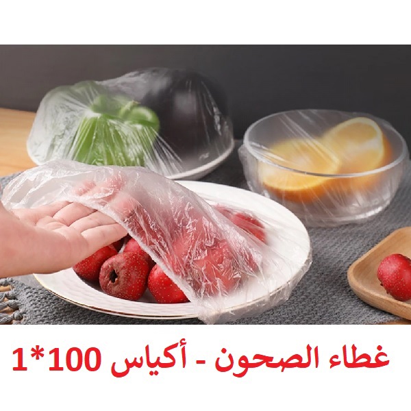 9-3 Dish Cover - Packing Bag